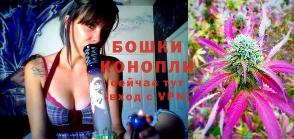 MESCALINE Аркадак