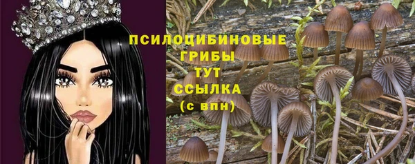 дурь Пролетарск