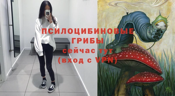 трава Арсеньев